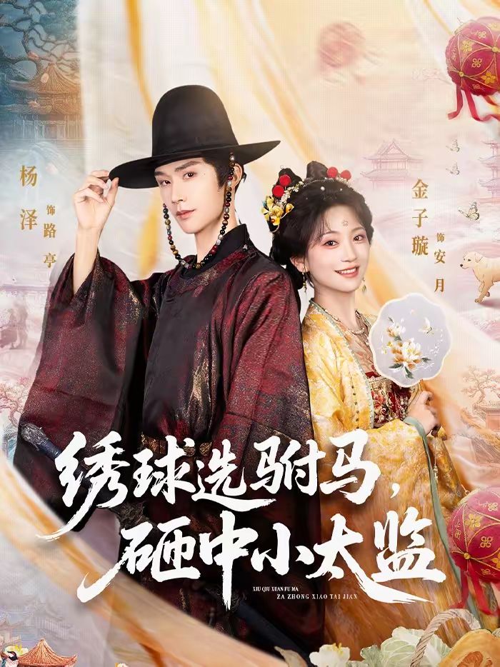 绣球选驸马，砸中小太监(全集)
