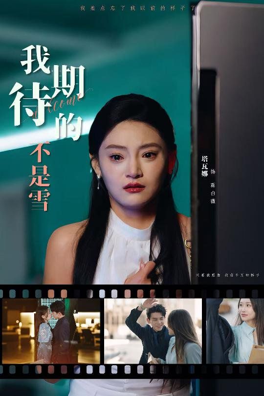 我期待的不是雪(全集)