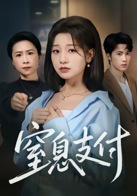 窒息支付 第12集