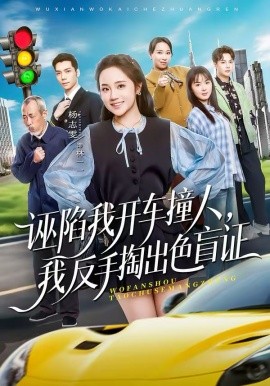 诬陷我开车撞人，我反手掏出色盲证 第01集