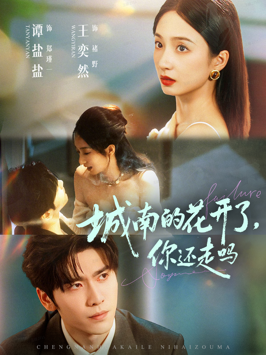 城南的花开了你还走吗(全集)